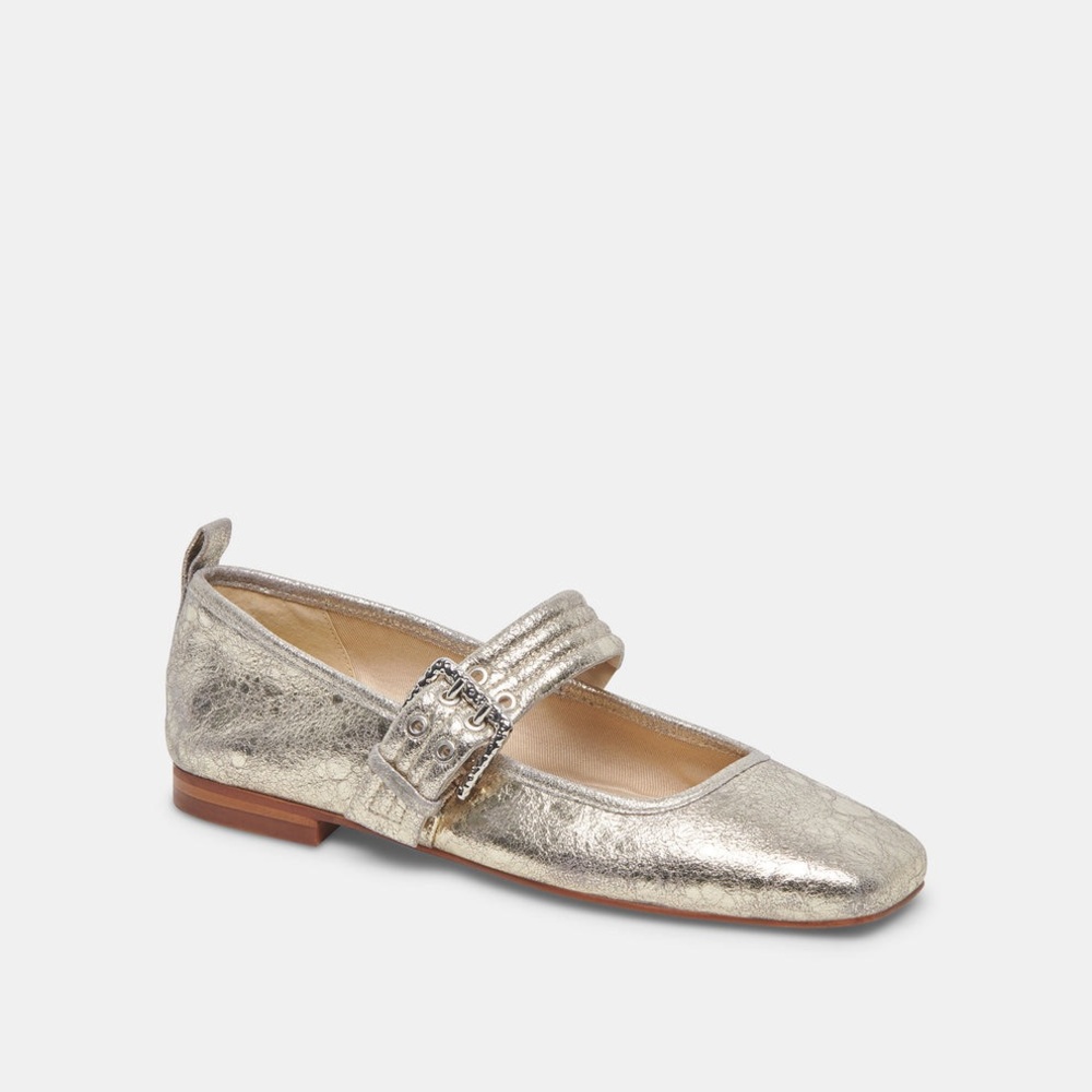 Dolce vita Ballet Flats